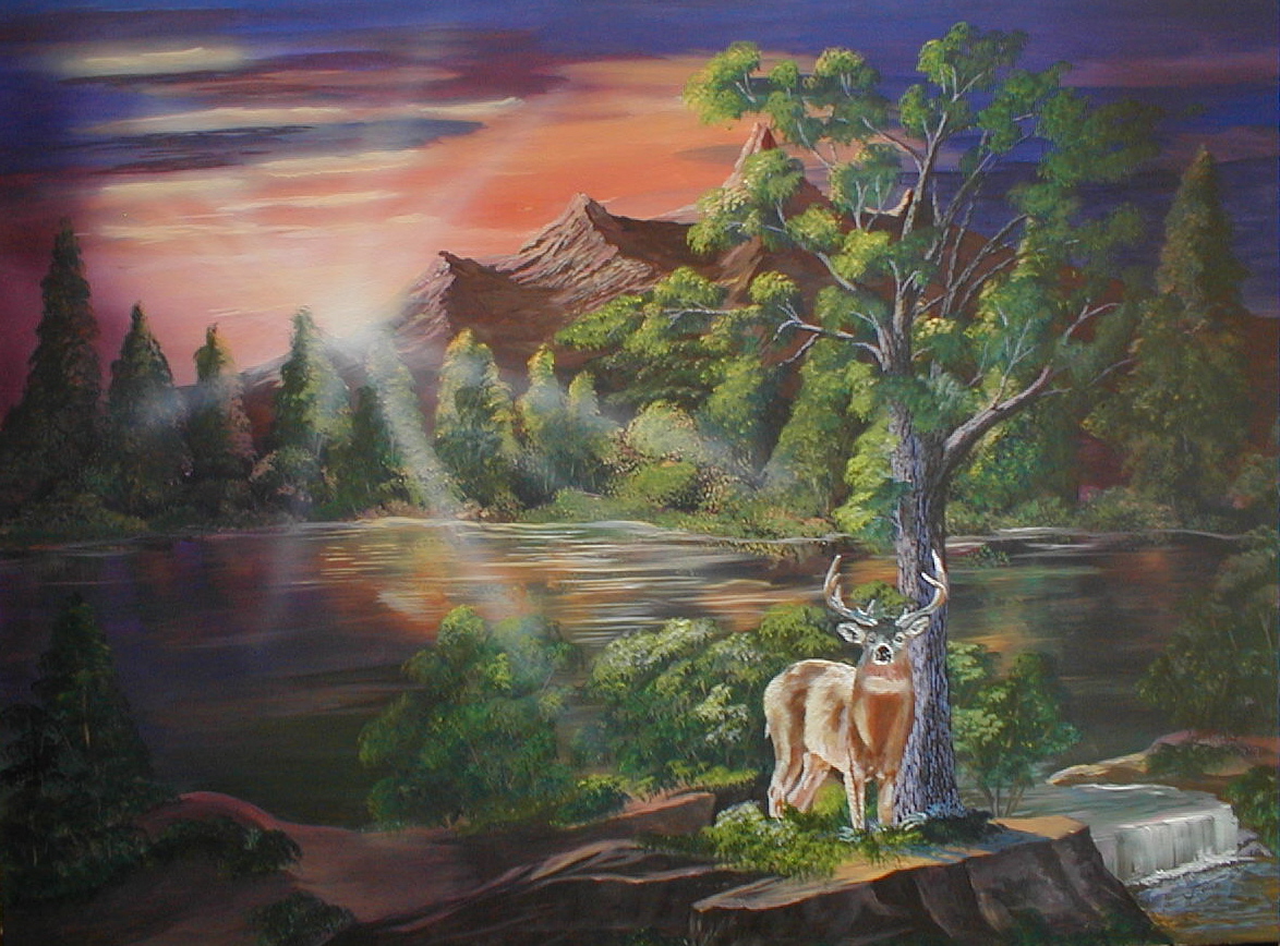 # 1147 Buck Haven 48x3603